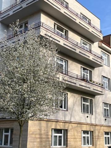 פודבראדי Apartma V Srdci Podebrad מראה חיצוני תמונה
